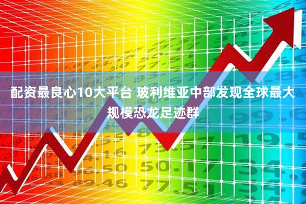 配资最良心10大平台 玻利维亚中部发现全球最大规模恐龙足迹群