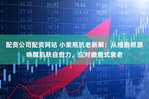 配资公司配资网站 小紫瓶抗老新解：从细胞根源唤醒肌肤自愈力，应对疲惫式衰老