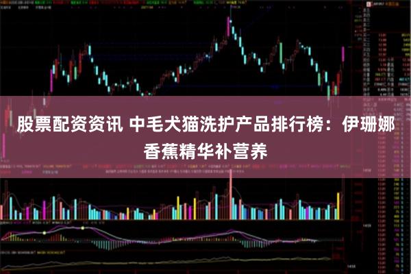 股票配资资讯 中毛犬猫洗护产品排行榜:伊珊娜香蕉精华补营养